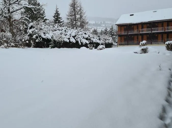 Appartement A Proche Du *